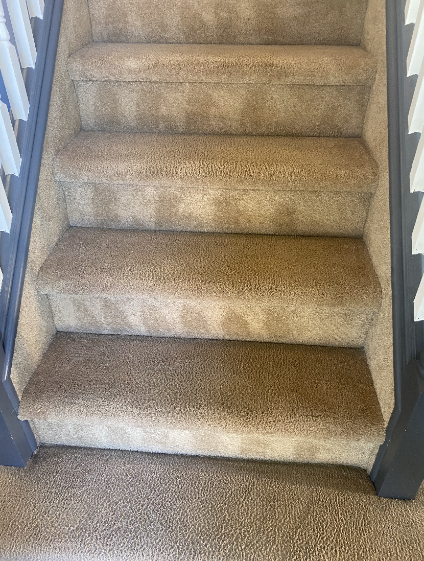 carpet cleaning long island