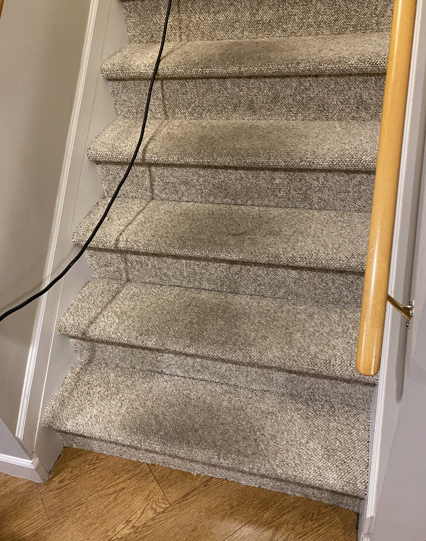 carpeting cleaning long island